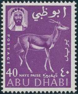 Mountain Gazelle (Gazella gazella)