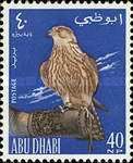 Lanner Falcon (Falco biarmicus) on gloved hand