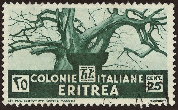 Baobab tree
