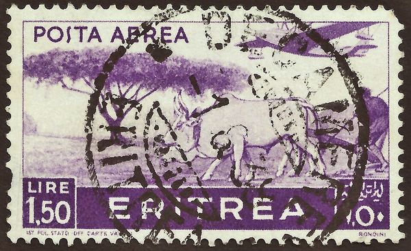 Plow with Zebu (Bos primigenius indicus)