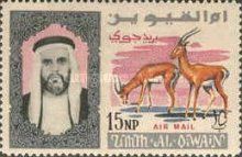 Slender-horned Gazelle (Gazella leptoceros), Sheik