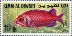 Japanese Soldierfish (Ostichthys japonicus) - Juvenile