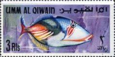 Lagoon Triggerfish (Rhinecanthus aculeatus)