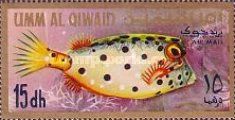 Yellow Boxfish (Ostracion cubicum)