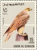 Gyrfalcon (Falco rusticolus)