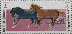 Thoroughbred (Equus ferus caballus)