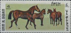 Hanoverian (Equus ferus caballus)