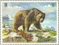 Grizzly Bear (Ursus arctos horribilis)