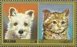 Terrier and Domestic Cat