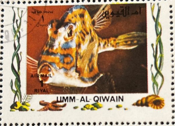 Fish