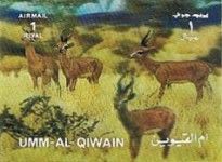 Animals