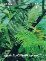 Chamaeleon (f: Chamaeleonidae)