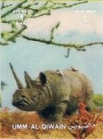 Rhinoceros