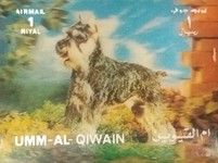Schnauzer
