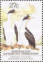 Macquarie Island Shag (Leucocarbo purpurascens)