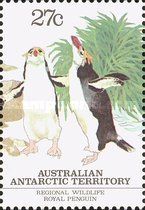 Royal Penguin (Eudyptes schlegeli)