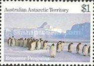 Emperor Penguin (Aptenodytes forsteri)