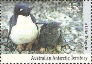 Adelie Penguin (Pygoscelis adeliae) with Chick