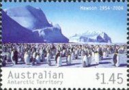 Emperor Penguin (Aptenodytes forsteri) Colony
