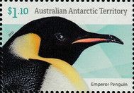 Head of Emperor Penguin (Aptenodytes forsteri)