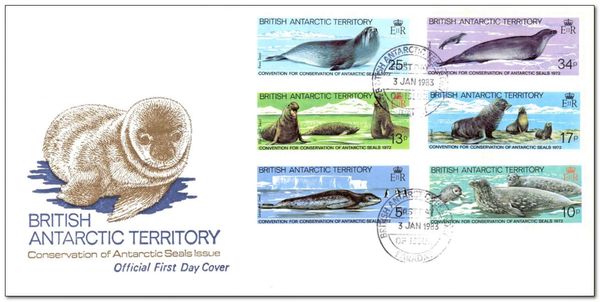 Antarctic Fur Seal (Arctocephalus gazella)