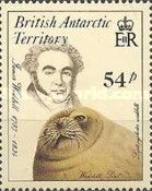 James Weddell, Weddell Seal (Leptonychotes weddelli)