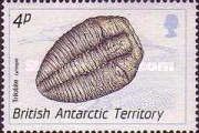 Trilobite, Lyriaspis