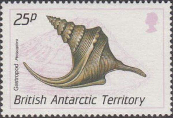 Gastropod