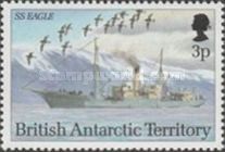 SS Eagle, Cape Petrel (Daption capense)