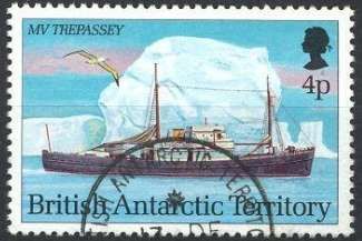 MV Trepassey, White-capped Albatross (Thalassarche cauta)