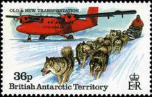 Airplane, Dogsledding