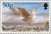 McCormick's Skua (Catharacta maccormicki)