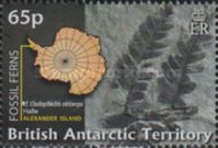 Alexander Island - Cladophlebis oblonga