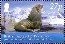 Antarctic fur seal