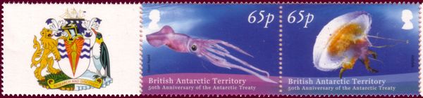 Giant squid