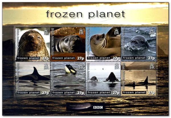 Frozen Planet - Whales, seals