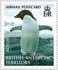 Adelie Penguin (Pygoscelis adeliae)