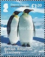Emperor Penguin (Aptenodytes forsteri)