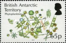 Phytoplankton