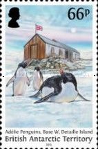 Adelie Penguins, Base W, Detaille Island