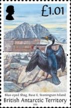 Blue-eyed Shag, Base E, Stonington Island
