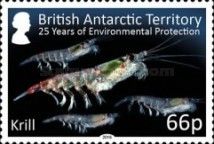 Krill (Euphausia superba) 