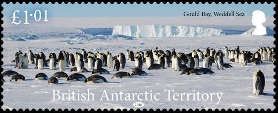 Gould Bay, Weddel Sea, Emperor Penguin (Aptenodytes forsteri
