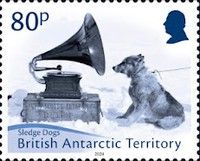 Sledge Dogs
