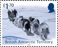 Sledge Dogs