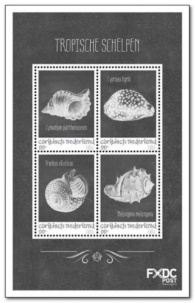 Sea Shells in Black and White