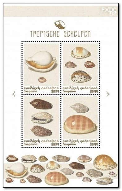 Four shells