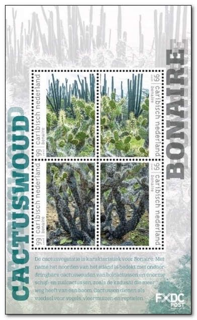 Cactus