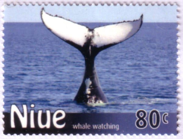 Humpback Whale (Megaptera novaeangliae). Underside Flukes