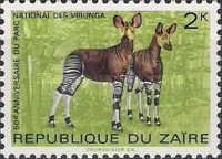 Okapi (Okapia johnstoni)